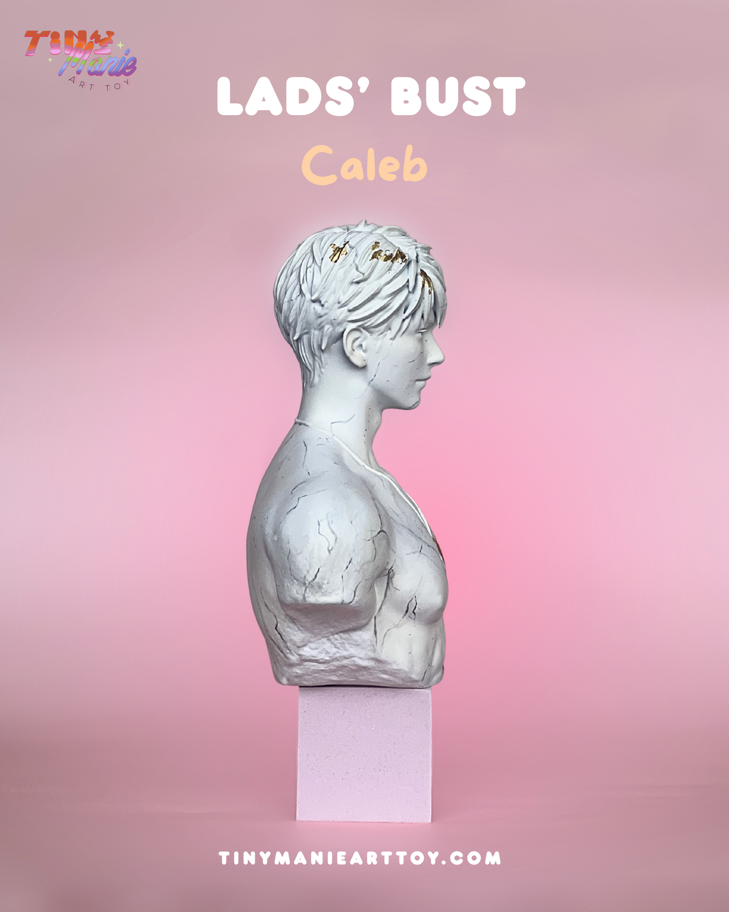 LADS Bust