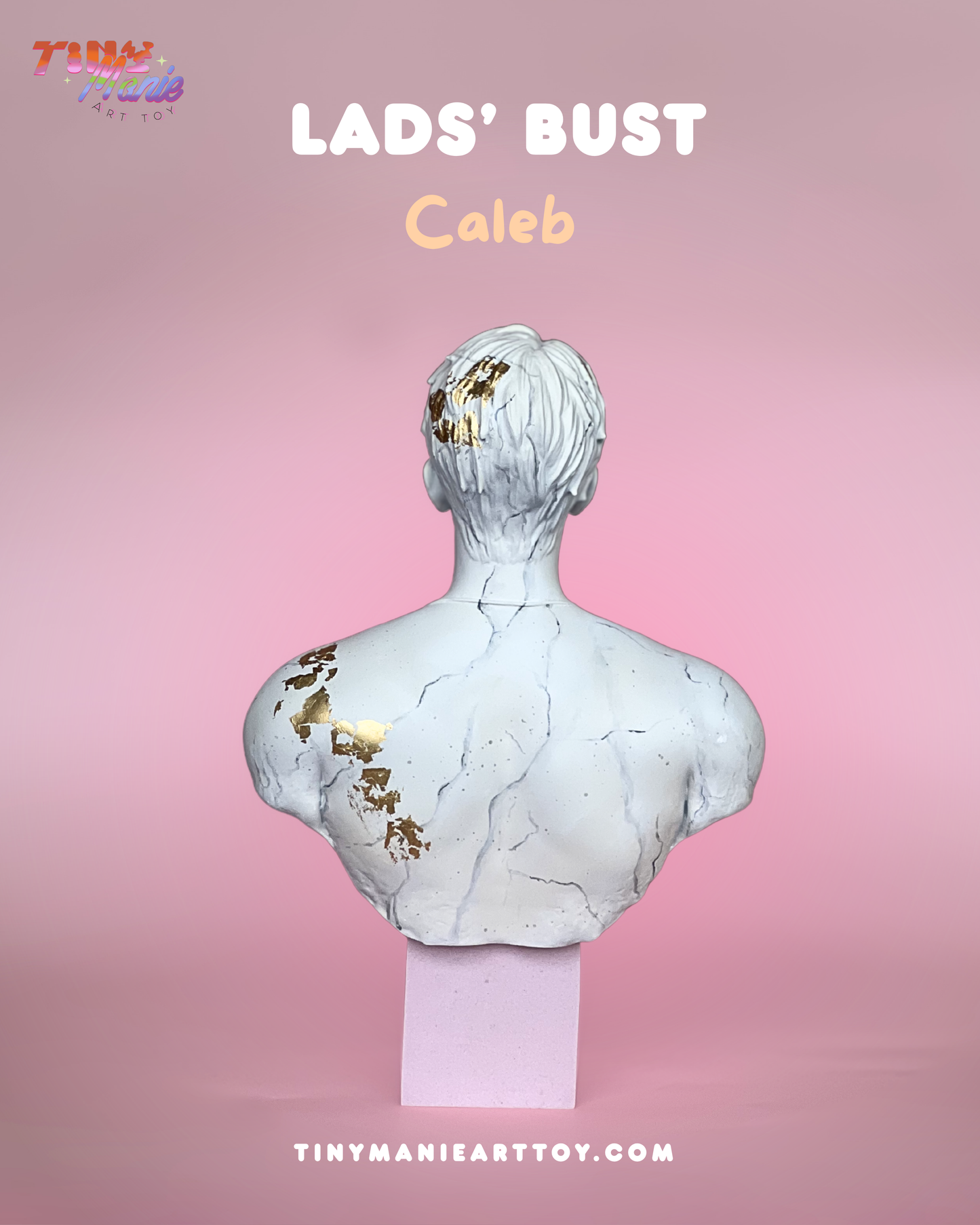 LADS Bust