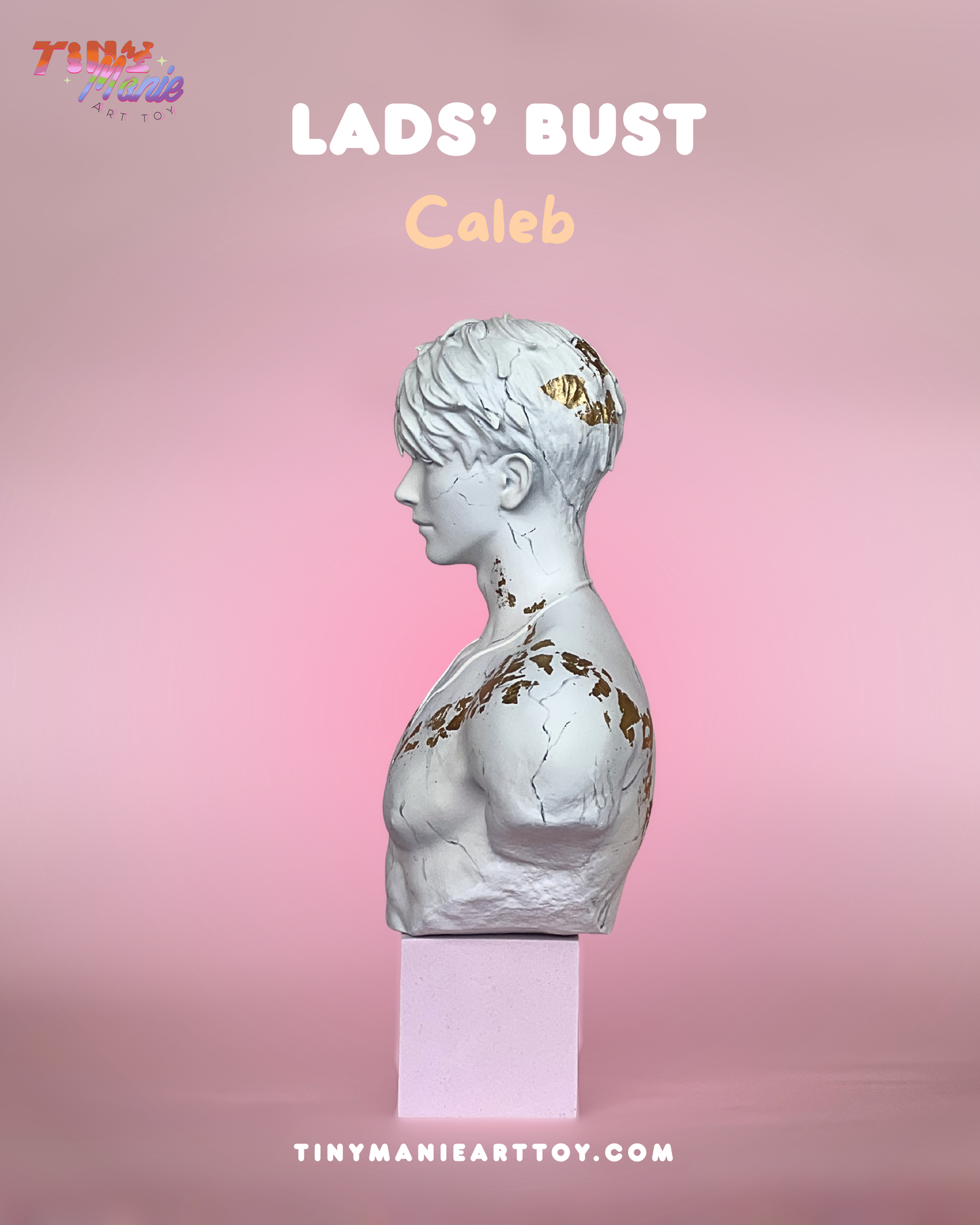 LADS Bust